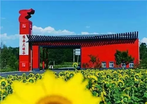 2025正版免费资料大全