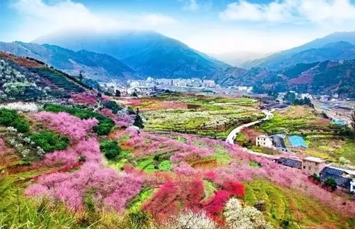 2025正版免费资料大全