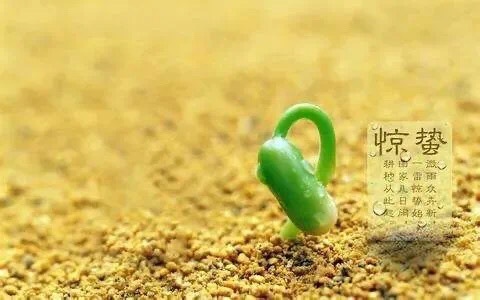 2025正版免费资料大全