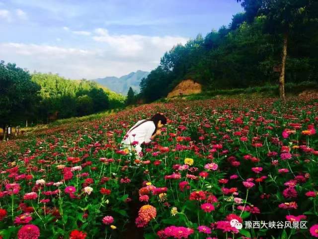 2025正版免费资料大全