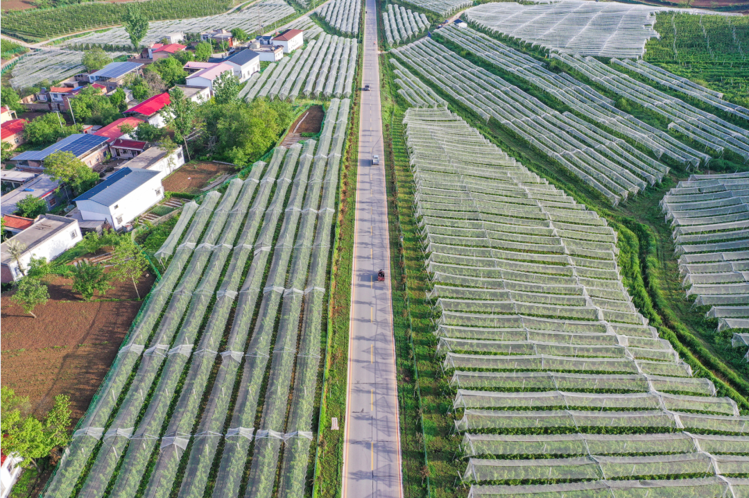2025正版免费资料大全