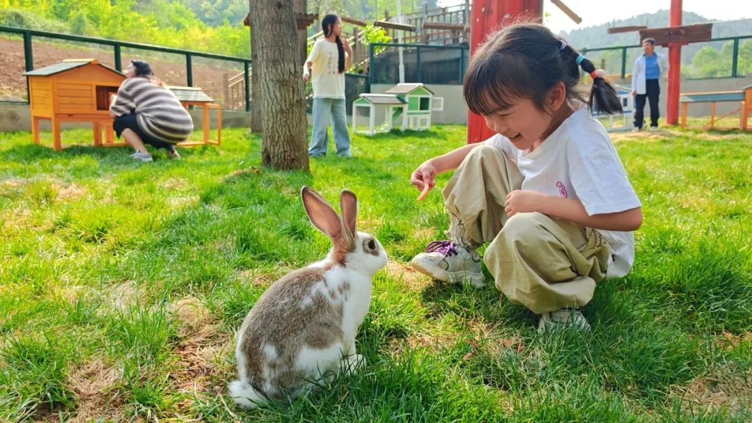 2025正版免费资料大全