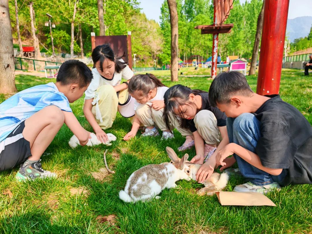 2025正版免费资料大全