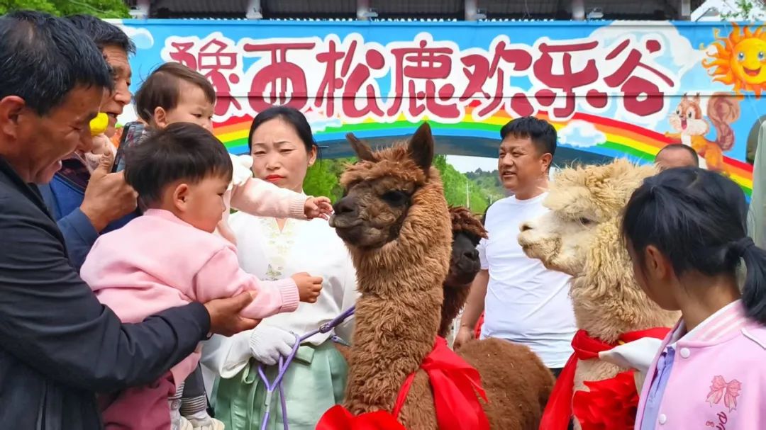 2025正版免费资料大全